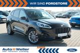 Ford Kuga Plug-In Hybrid ST-Line X ACC PANO LED B&O - Ford Kuga: Schwarz, Alcantara, Plug-In Hybrid