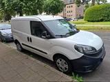 Fiat Doblo Kasten SX - 1.3 Multijet  - Fiat Doblo in Düsseldorf