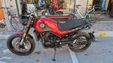 Benelli Leoncino 500 c.c. Trail Rosso - BENELLI LEONCINO 500 TRAIL