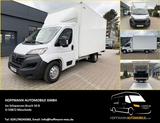 Opel Movano Koffer Ladebordwand 3,5t L3 Möbelkoffer - Opel aus 2023
