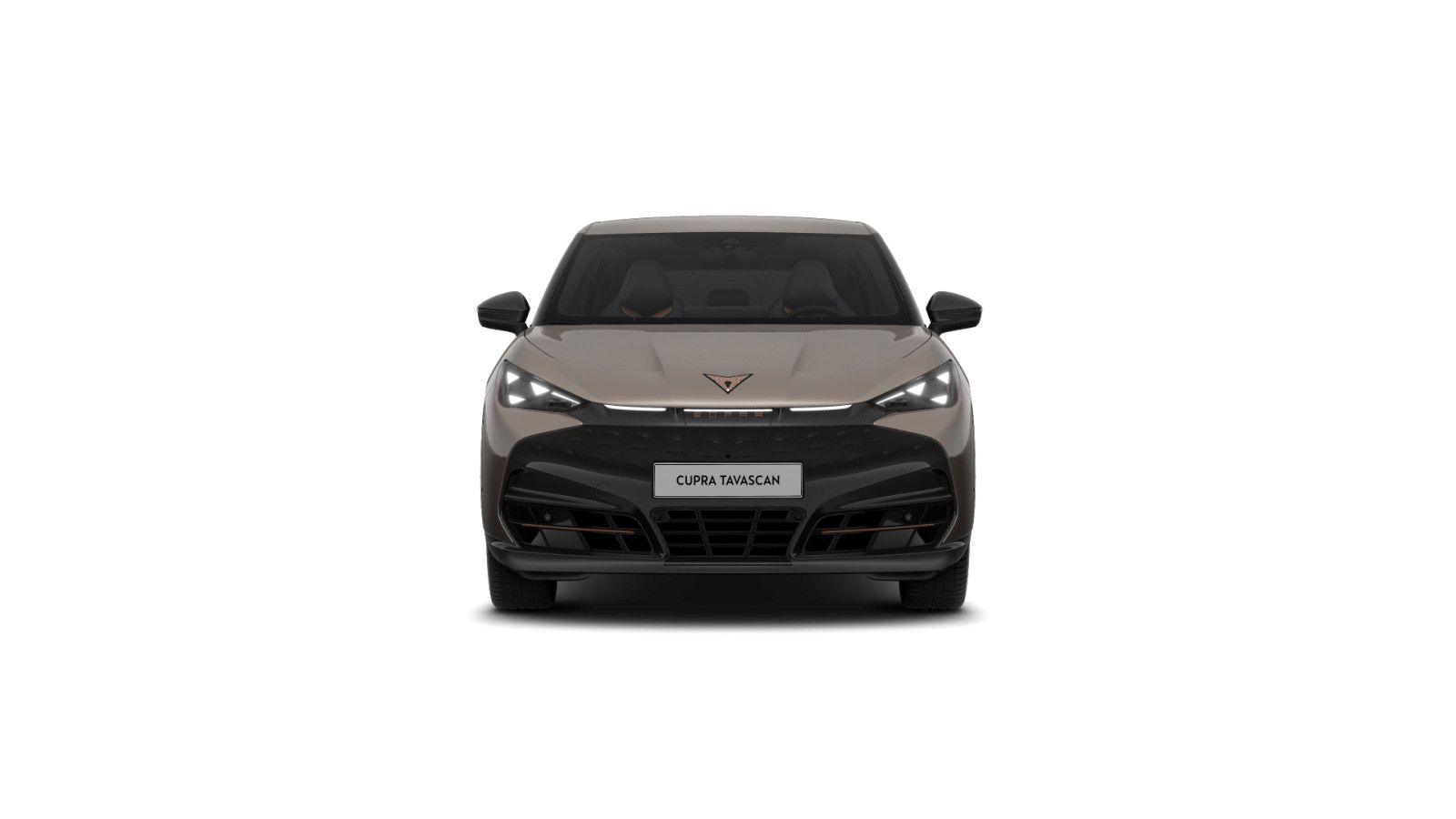 Cupra Tavascan - Bild 9
