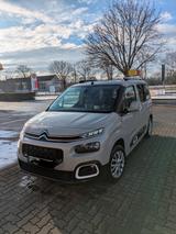 Citroën Berlingo BlueHDi 130 S&S SHINE M EAT8 SHINE - Citroën Berlingo Gebrauchtwagen in Erfurt