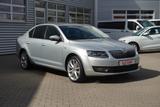 Skoda Octavia 1.0 Joy Bi-Xenon Tempomat Sitzheizung - Skoda Octavia Joy mit Benzin-Antrieb
