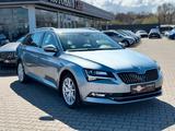 Skoda Superb 1.4TSI "Green Tec"DAB+*AHK*MEMORY*Bi-XENO - Skoda Superb mit Benzin-Antrieb: Grau