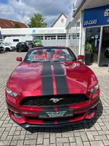 Ford Mustang2,3L CABRIO *VOLL TOP 20 ZOLL - gebrauchte Ford Mustang aus dem Jahr 2015