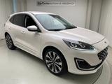 Ford Kuga Plug-In Hybrid Vignale LED Winterpaket - Ford Kuga Vignale mit Hybrid-Antrieb (Benzin/Elektro)