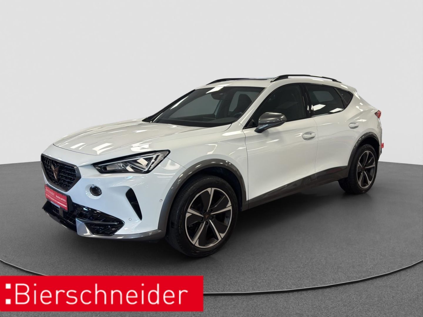 Cupra Formentor 1.5e TSI DSG AHK PANO NAVI RFK