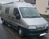 Fiat Ducato X244L / Knaus Boxstar 550 MQ - Offers