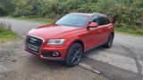 Audi Q5 2.0 TDI 140kW S tronic quattro - - Audi Q5 Gebrauchtwagen in Köln