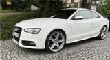 Audi S5 Coupe 3.0 TFSI  quattro 453 PS APR - Audi quattro: Sportwagen