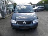 Volkswagen Caddy Life Gewinner Caddy - Volkswagen Caddy: Gewinner