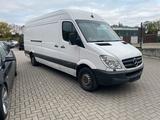 Mercedes-Benz Mercedes Sprinter Maxi 313cdi - Mercedes-Benz Sprinter aus 2008: 313 Cdi