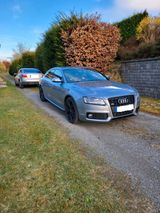 Audi S5 3.0 TFSI S tronic quattro Sportback - - Audi S5: Sportback