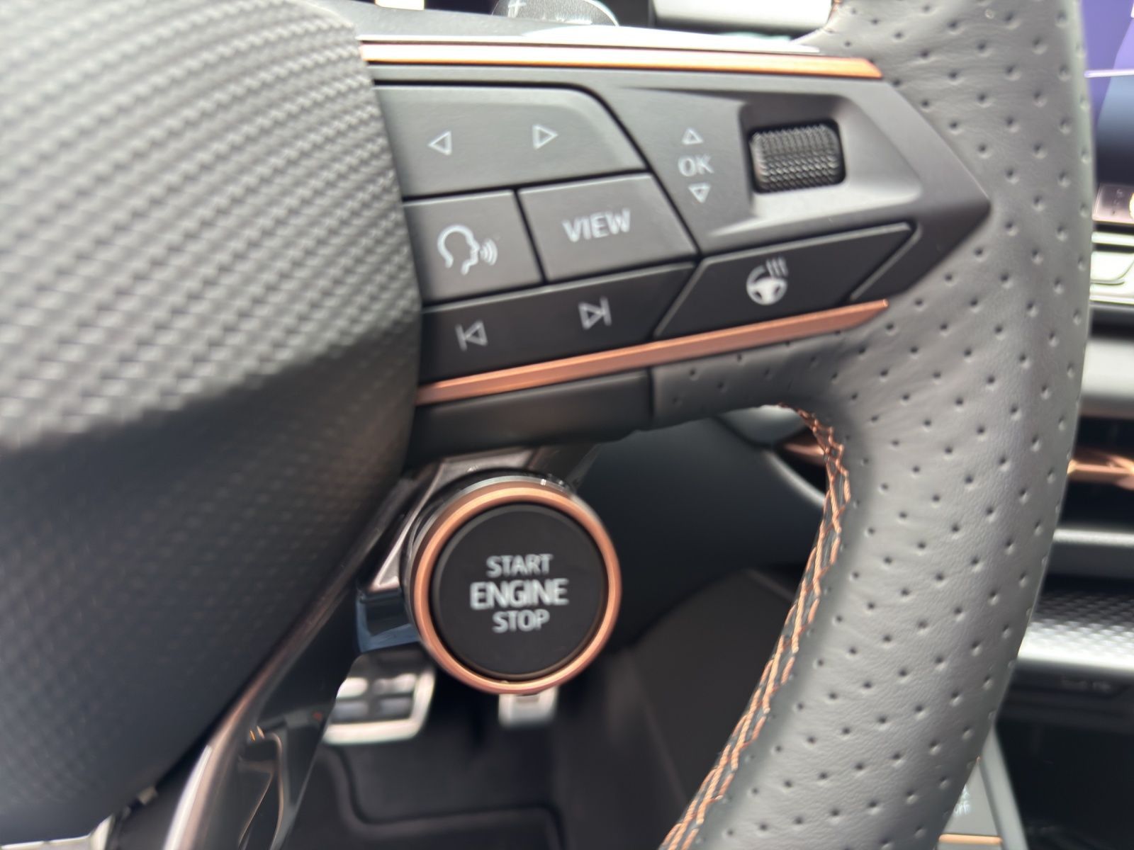 Cupra Terramar - Bild 10