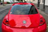 Volkswagen Beetle 1.2 TSI BMT Design Design - Volkswagen Beetle: Rot