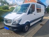 Mercedes-Benz Mercedes Sprinter 316 CDI Mixto - Mercedes-Benz Sprinter in Braunschweig