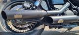 Harley-Davidson Dyna Street Bob FXDB - Offers matching your search criteria