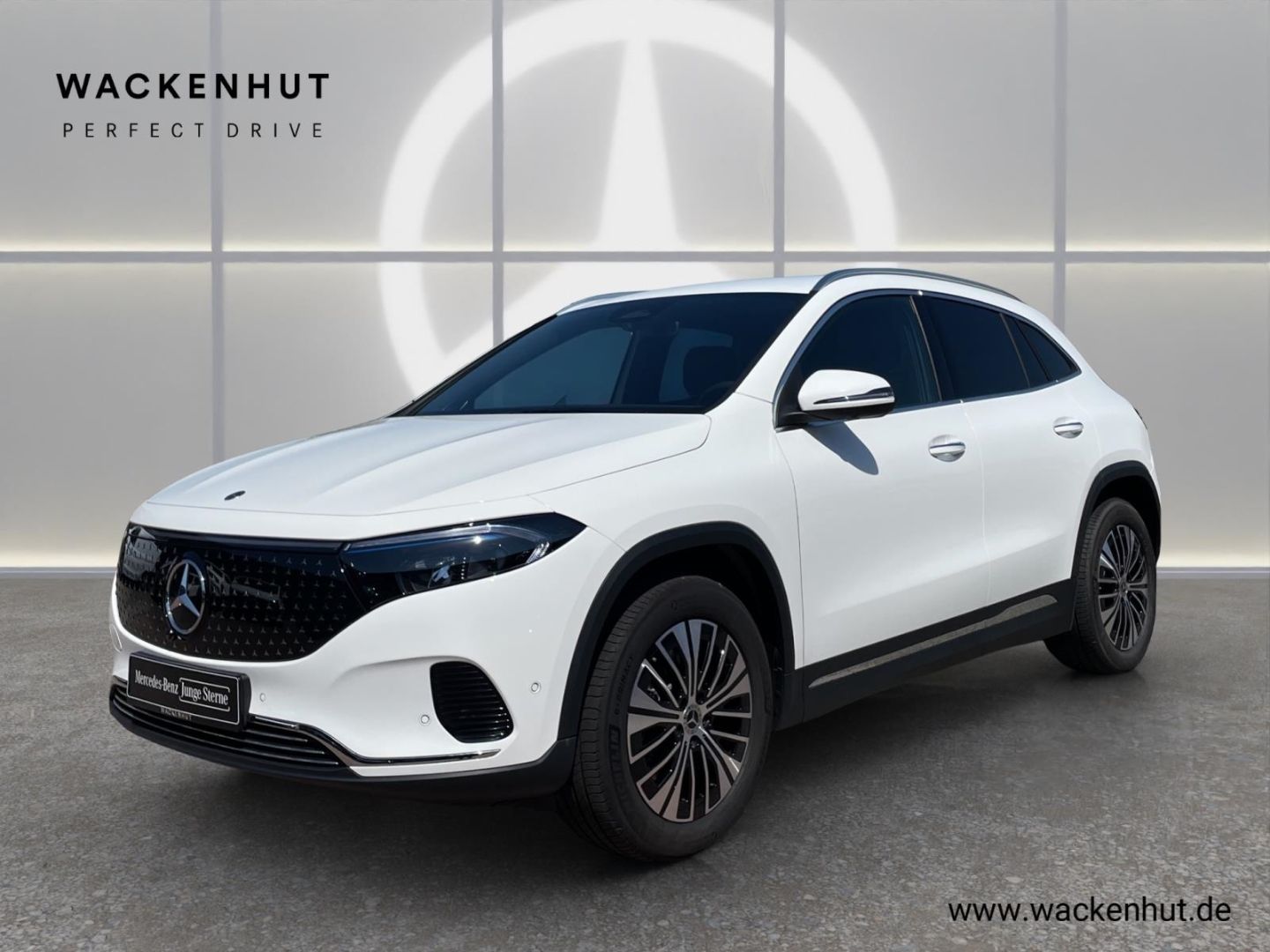 MERCEDES-BENZ EQA 350 4M ELECTRIC ART 360°LED TOTW.WINTER EASY