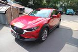 Mazda CX-30 SKYACTIV-G 122 M Hybrid SELECTION Des-P - Mazda CX-30 in Hamburg