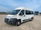 Fiat Ducato 33 2.0JTD 115 PS Panorama 8-SEATS +LIFT - Fiat Ducato: 11