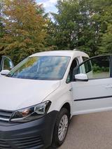 Volkswagen VW Caddy TSI Bluemotion Weiß - Volkswagen Caddy: Bluemotion