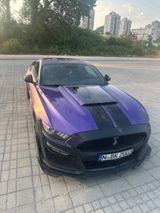 Ford GT 500 Shelby 450 PS Lila Folie LPG  - : Leder, Folie