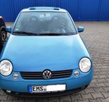 Volkswagen Lupo 1.0 BASIS Basis - Volkswagen Lupo: Blau