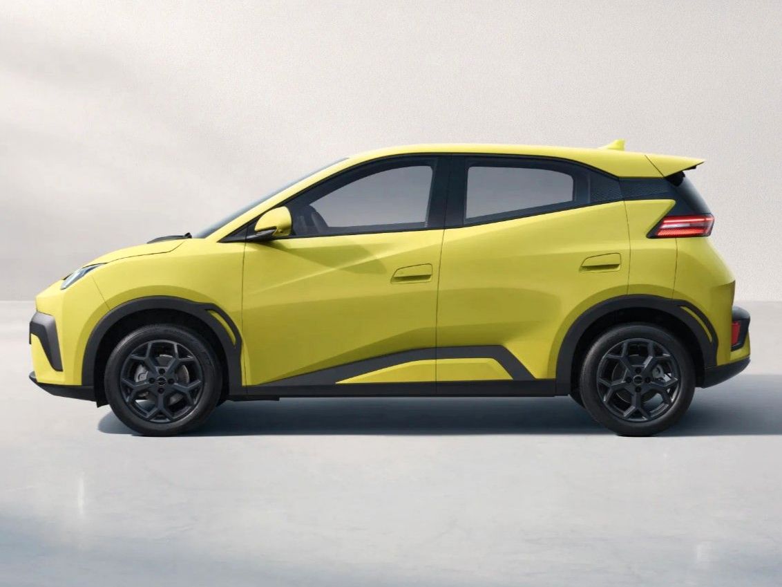 BYD DOLPHIN SURF