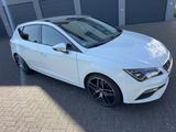 Seat Leon DSG FR / 1. Hand  - Seat Leon von privat