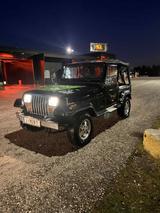 Jeep Wrangler Hubraum 4233ccm Cabrio/Roadster - Jeep Wrangler mit Benzin-Antrieb: Cabrio