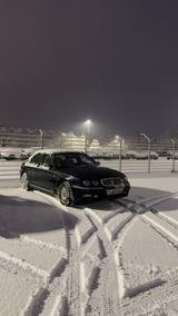 Rover 75 KV6 2.5 Liebhaberfahrzeug - Rover aus 1999