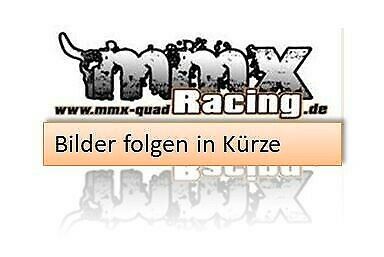 Yamaha YFM 250R !mit Zulassung!