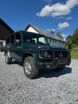 Mercedes-Benz G 300 TD  Lang, Leder , Klima, Navi, Tüv neu - Mercedes-Benz G 300: G300td