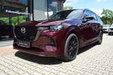 Mazda CX-80 2.5 PHEV 327PS AWD Homura Plus BOSE® Matri - rote Mazda CX-80