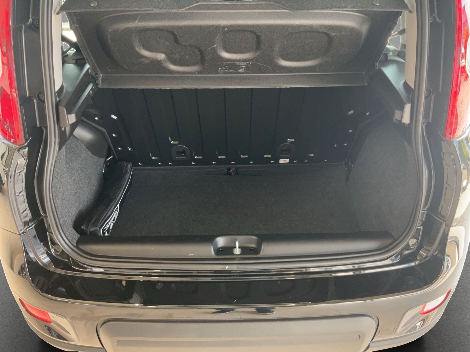 Fahrzeugabbildung Fiat Panda 1.0 Hybrid