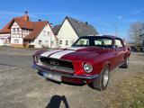 Ford Mustang Oldtimer H-Zulassung V8 - gebrauchte Ford Mustang aus dem Jahr 1967