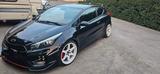 Kia cee'd / Ceed 1.6 T-GDI GT-Track GT-Track - Kia cee'd / Ceed: Coupé