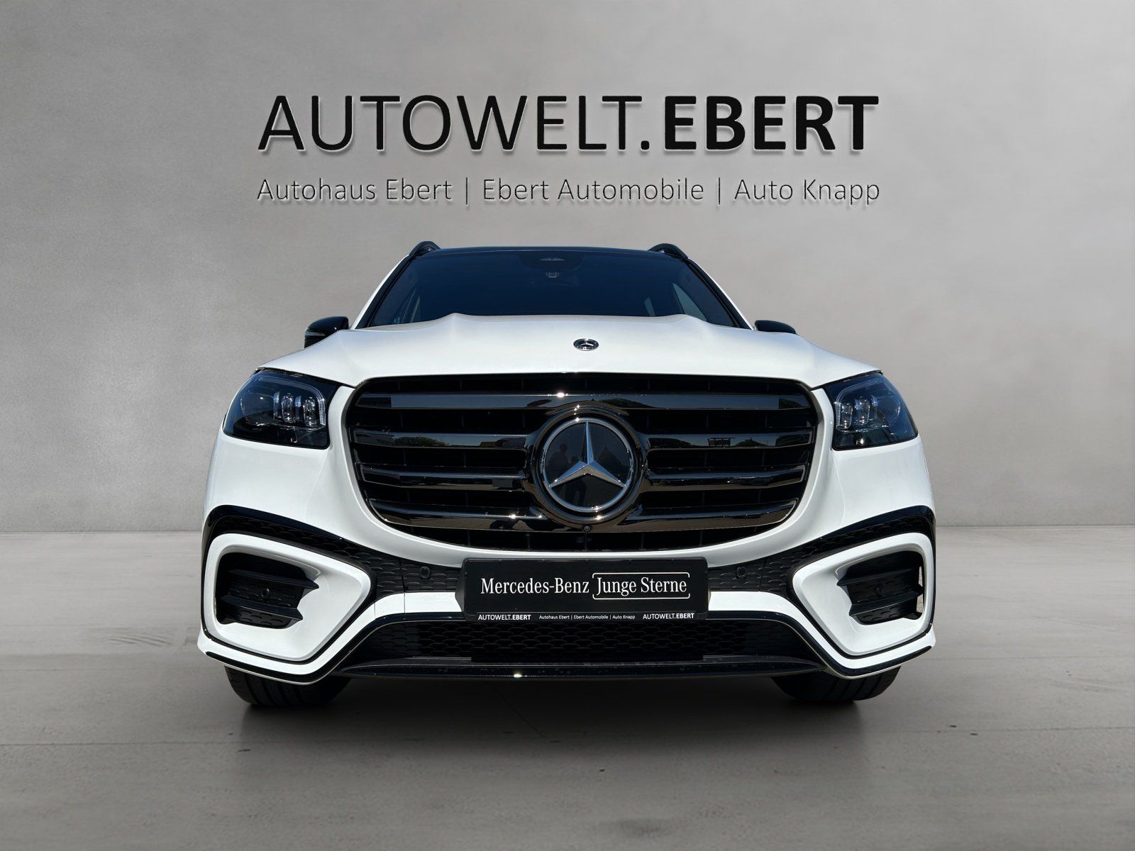 Fahrzeugabbildung Mercedes-Benz GLS450d AMG Prem+ DISTR Standh AHK Massage 6xSHZ
