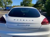 Porsche Panamera GTS-Facelift-Bose-Alcantara-Carbon - Porsche Panamera: Weiß