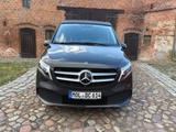 Mercedes-Benz V 300 d / Marco-Polo Horizon Edition - Mercedes-Benz V 300: Von Privat