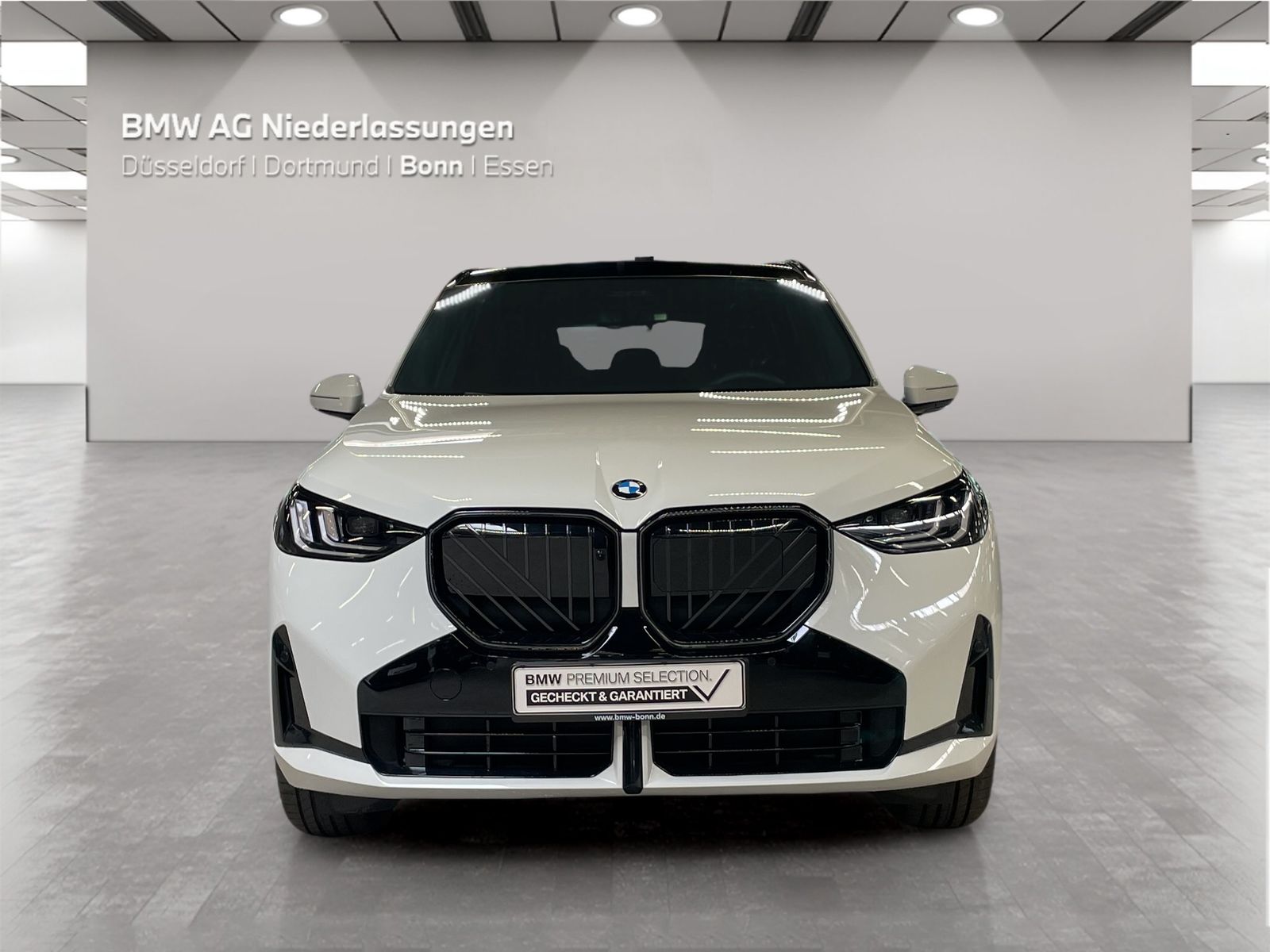 BMW X3 - Bild 8
