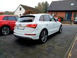 Audi SQ5 3.0 TDI competition tiptronic quattro - - Audi SQ5 Gebrauchtwagen in Köln