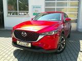 Mazda CX-5 SKYACTIV 165 Ad'vantage 360°/NAVI/HUD/WKR - Mazda CX-5 in Augsburg