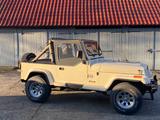 Jeep Wrangler YJ 4,2L mit H-Zulassung - Jeep Wrangler: Yj