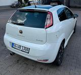 Fiat Punto S TwinAir SportStil - Fiat Punto Evo in Frankfurt (Main)