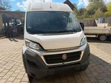 Fiat Ducato Grossr.-Kasten 150 L5H2 - Fiat Ducato 15 mit Diesel-Antrieb