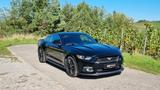 Ford Mustang 5.0 Ti-VCT V8 Fastback GT Premium - Ford Mustang Gebrauchtwagen in Stuttgart