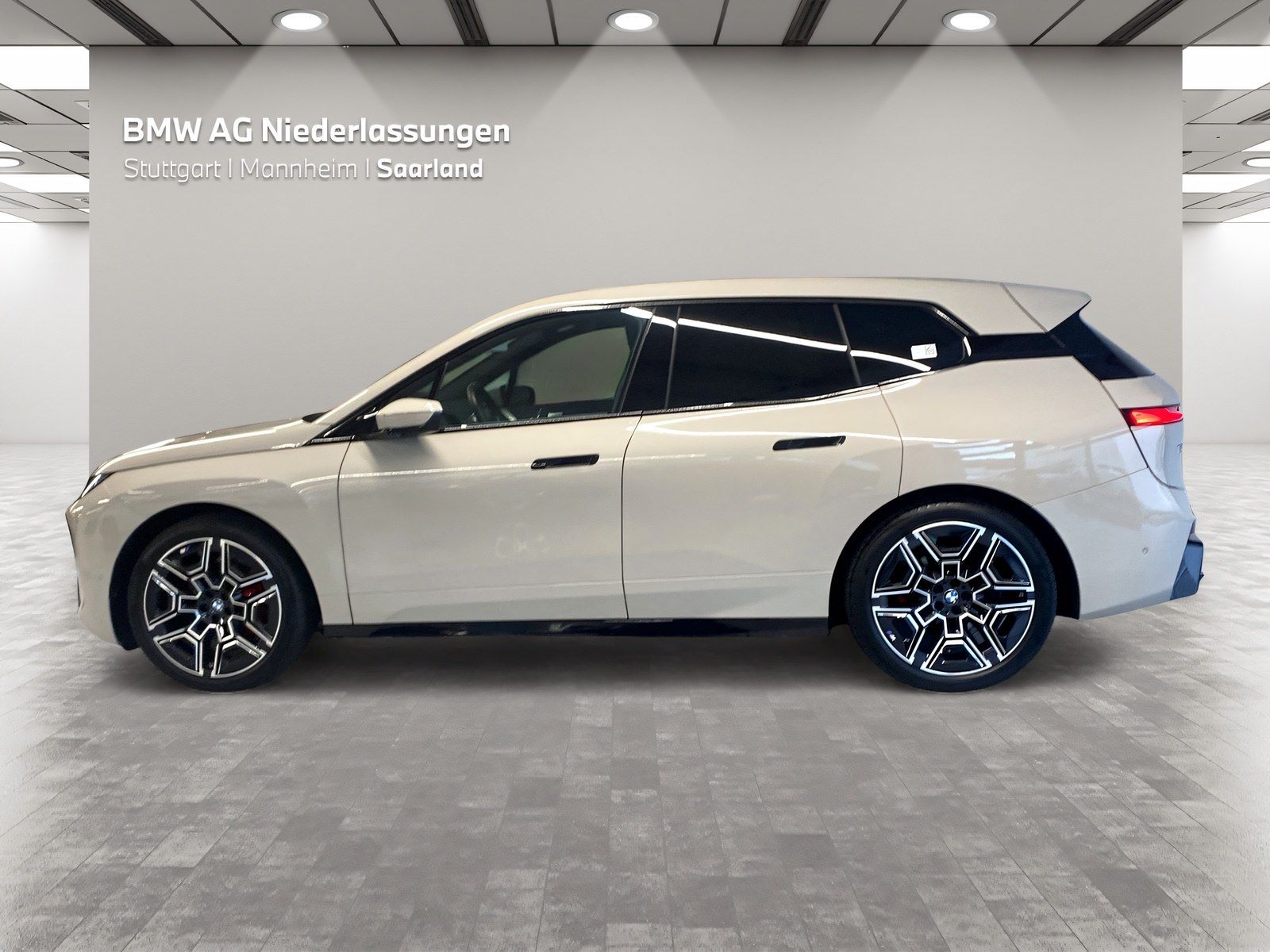BMW iX xDrive45 M Sport AHK Driv.Assist.Prof Kamera foto 3