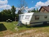 Wilk Stern 700 - Offers
