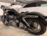 Triumph America  - TRIUMPH AMERICA